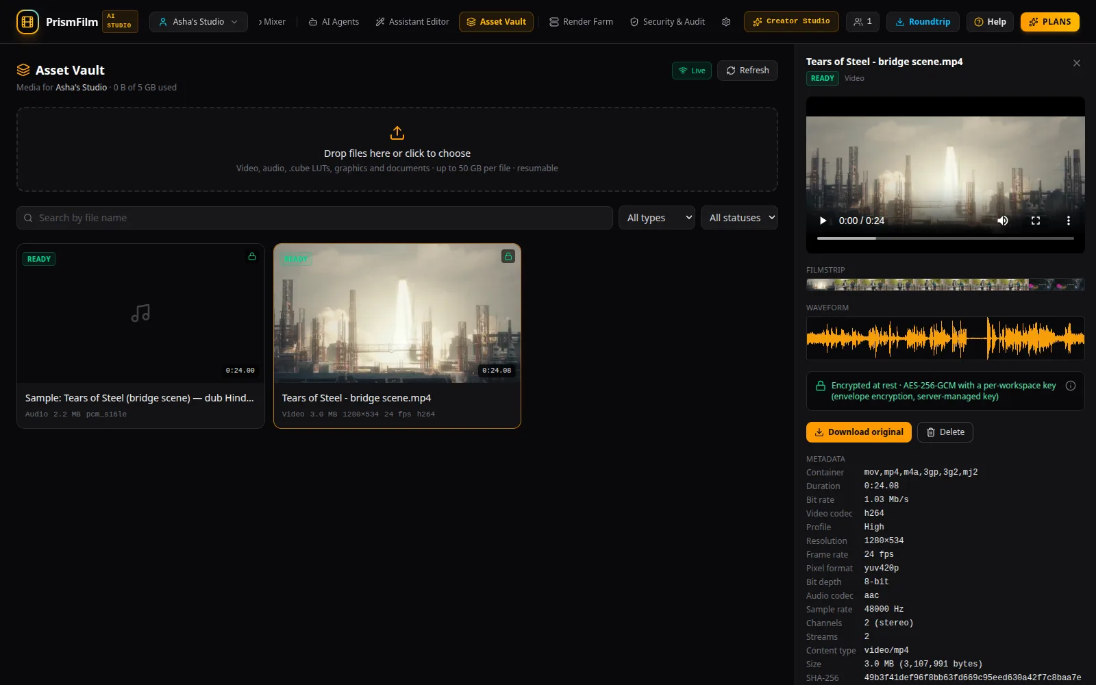 File details with playback, encryption and processing jobs