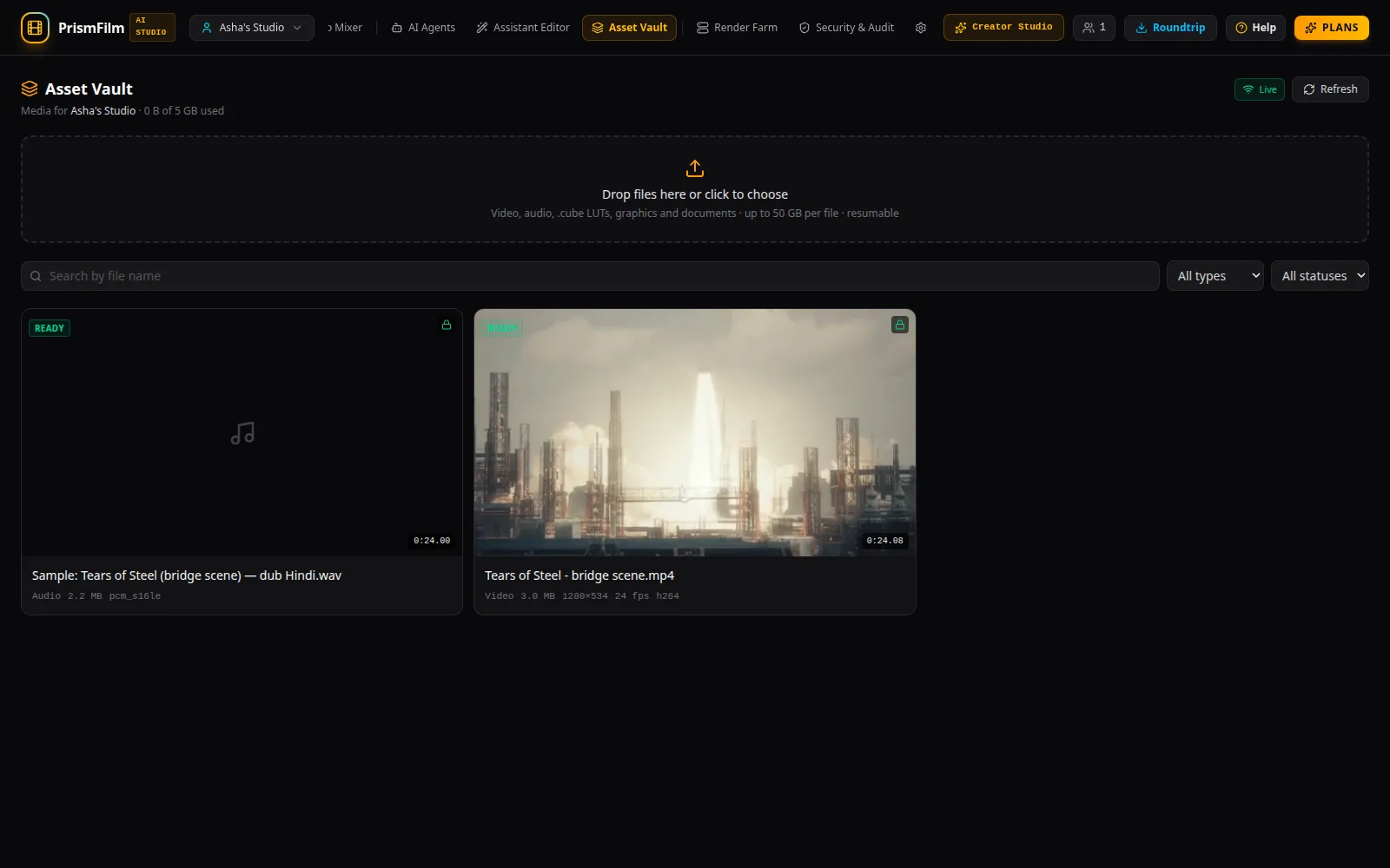 The Asset Vault with the upload area and processed files